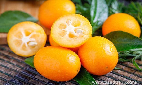 湖南省長沙市十大特產有哪些