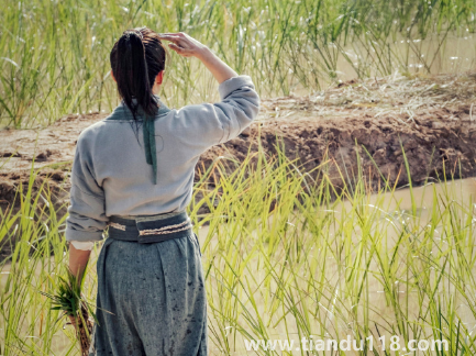 覆流年男主有沒(méi)有重生2